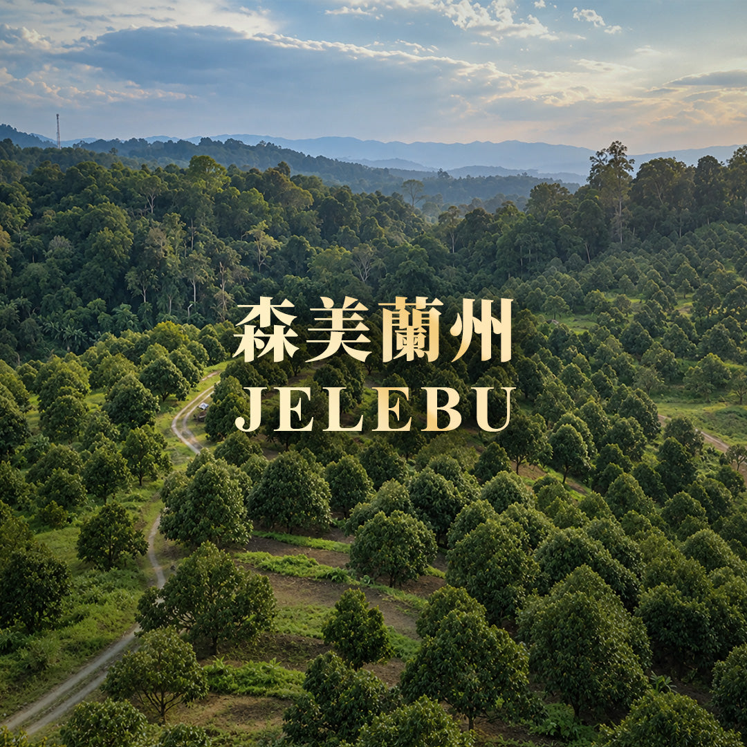 森美蘭州果園景觀