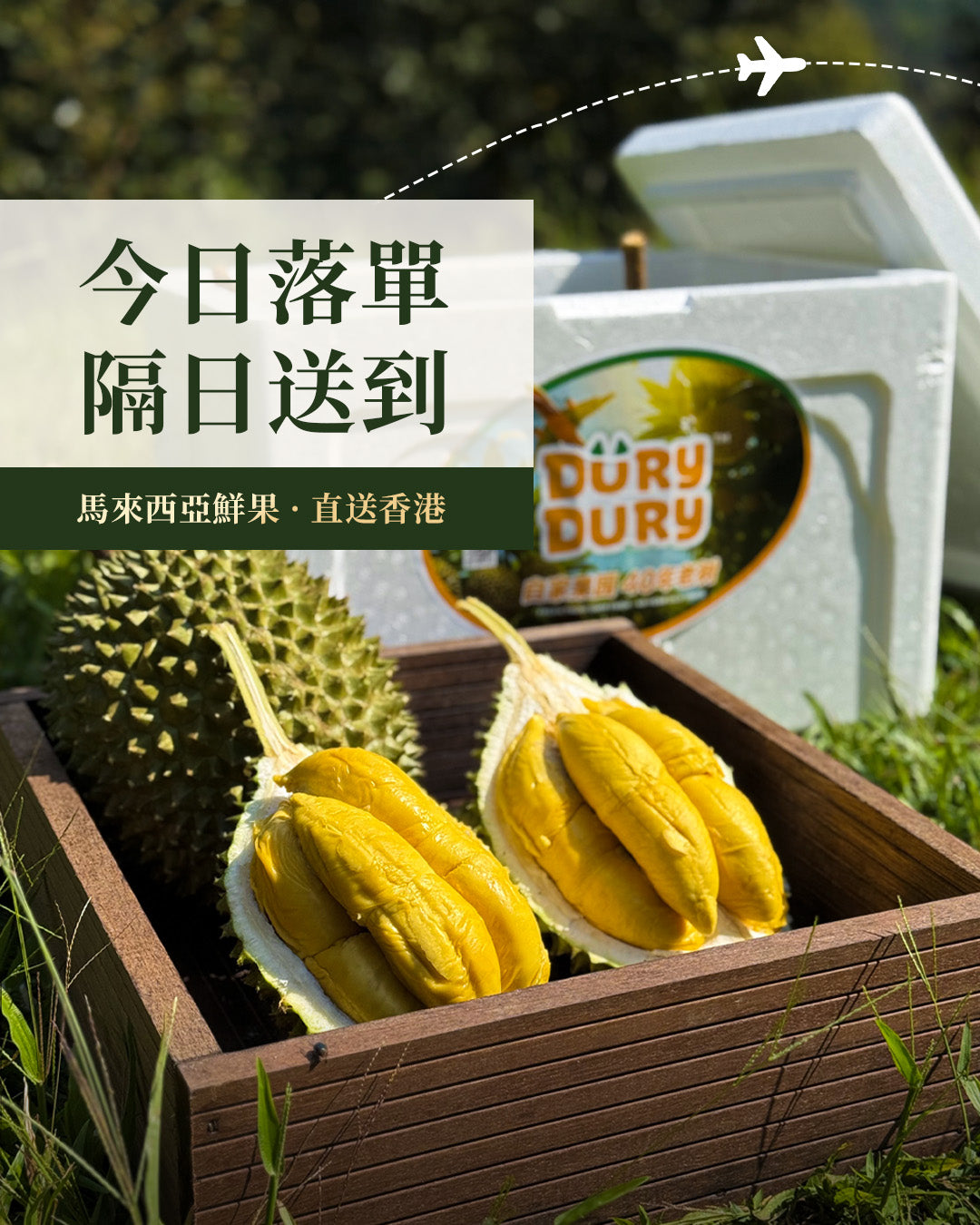 榴槤與 Dury Dury 保溫箱