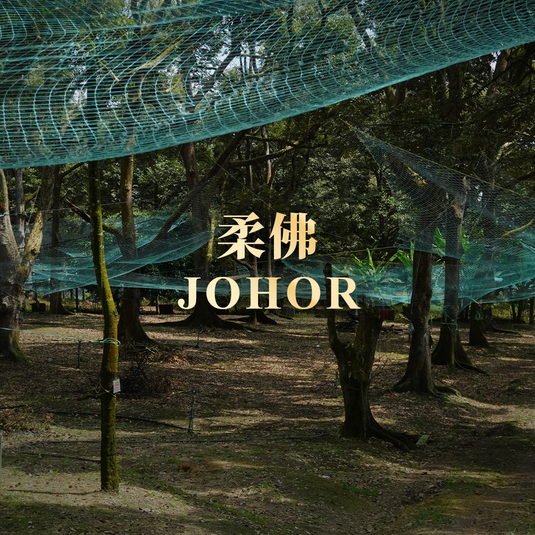 柔佛果園景觀