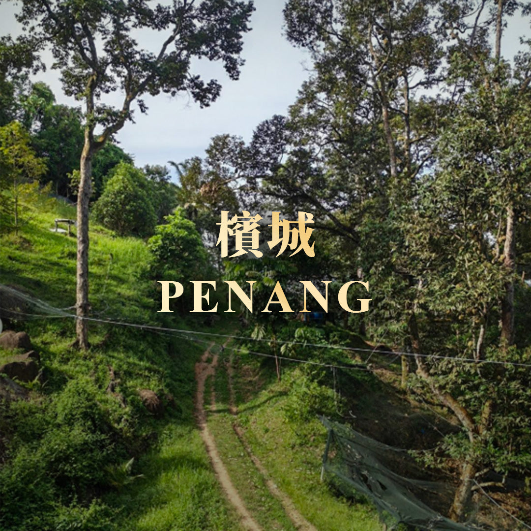 檳城果園景觀